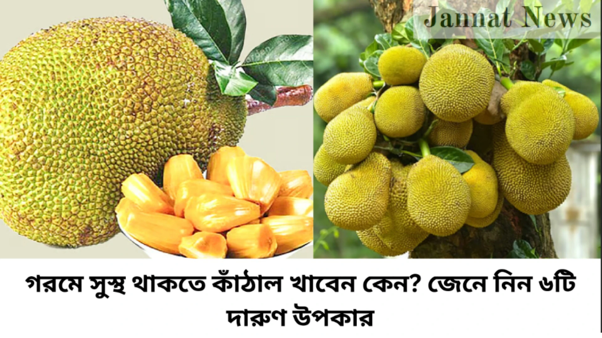 গরমে সুস্থ থাকতে কাঁঠাল খাবেন কেন? জেনে নিন ৬টি দারুণ উপকার