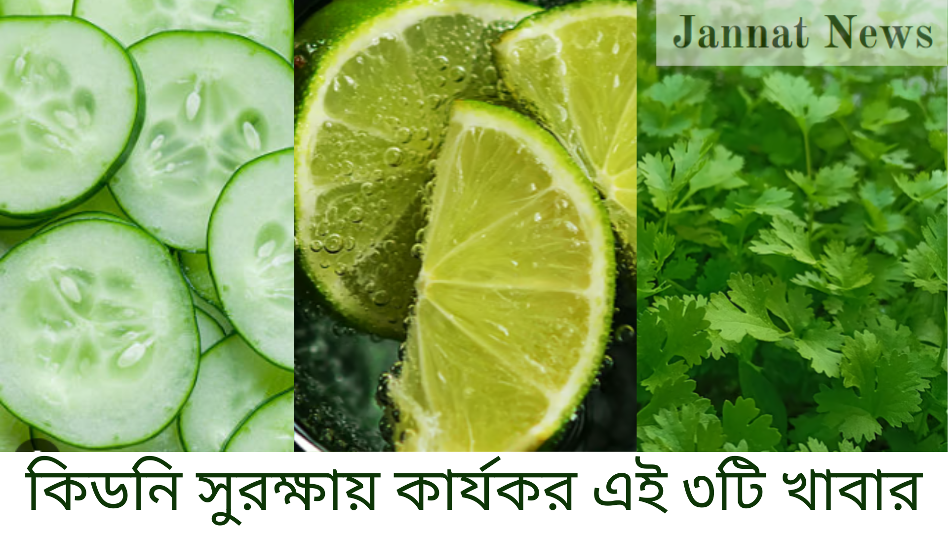 কিডনি সুরক্ষায় কার্যকর এই ৩টি খাবার
