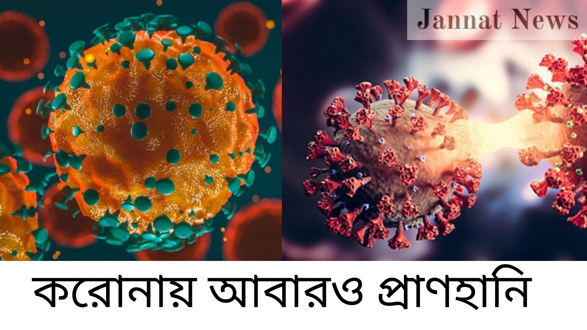গভীর সমুদ্রেও কি প্রাণ টিকে থাকতে পারে?