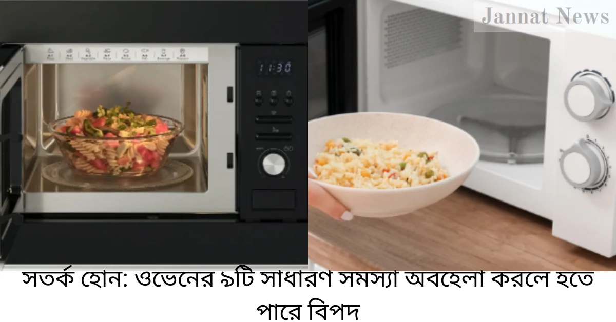 সাবধান থাকুন ৯টি সাধারণ ওভেন সমস্যা যা উপেক্ষা করলে বিপজ্জনক হতে পারে