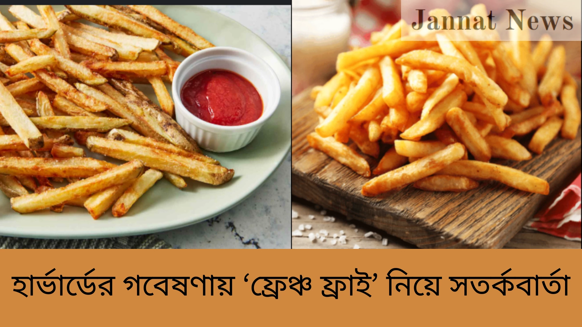 হার্ভার্ডের গবেষণায় ‘ফ্রেঞ্চ ফ্রাই’ নিয়ে সতর্কবার্তা
