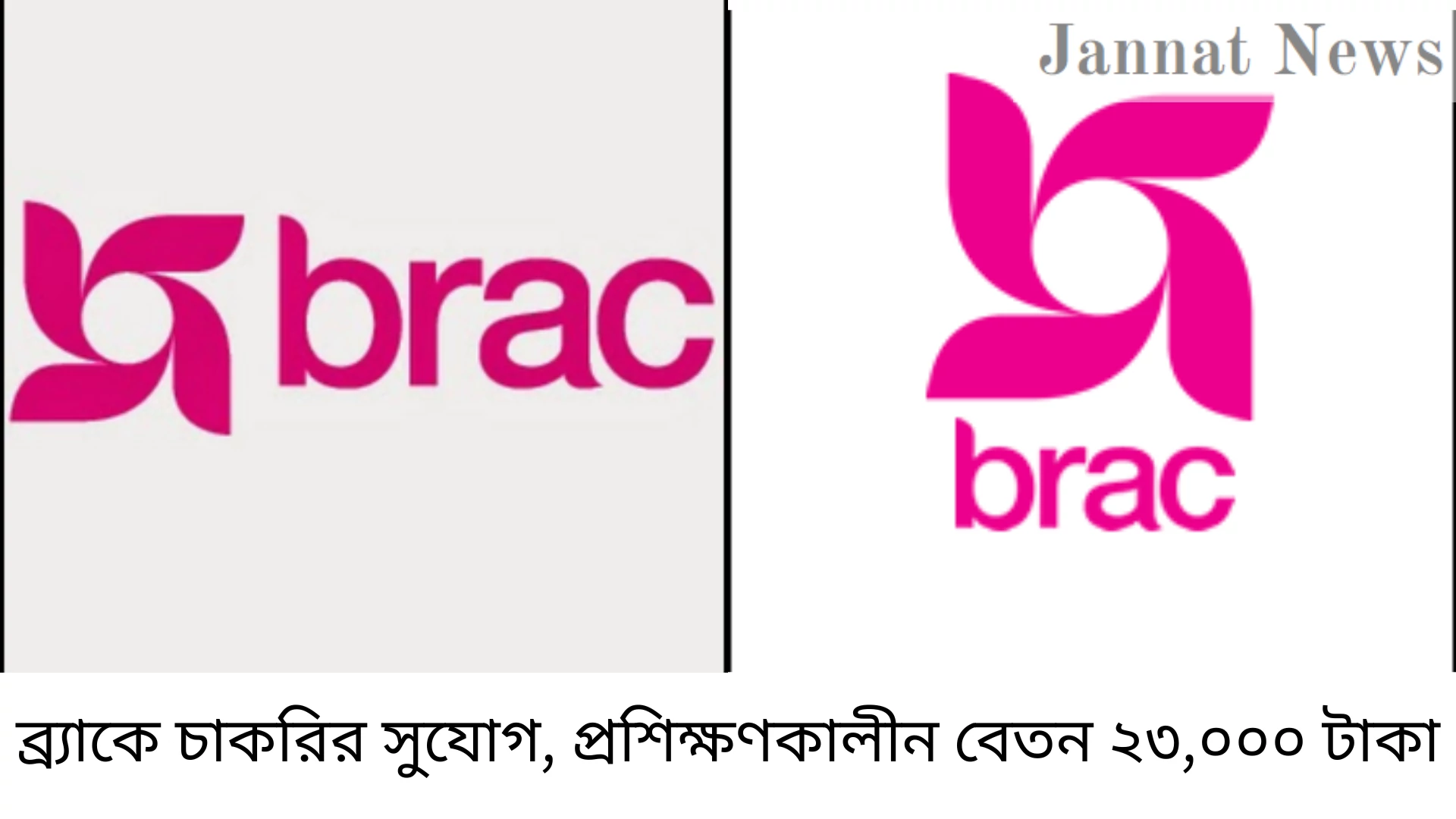 ব্র্যাকে চাকরির সুযোগ, প্রশিক্ষণকালীন বেতন ২৩,০০০ টাকা
