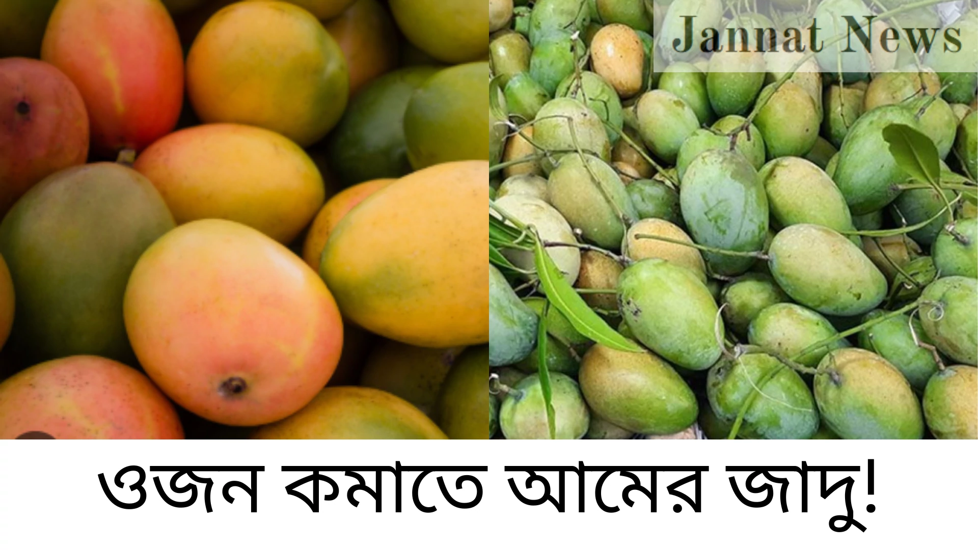 ওজন কমাতে আমের জাদু!