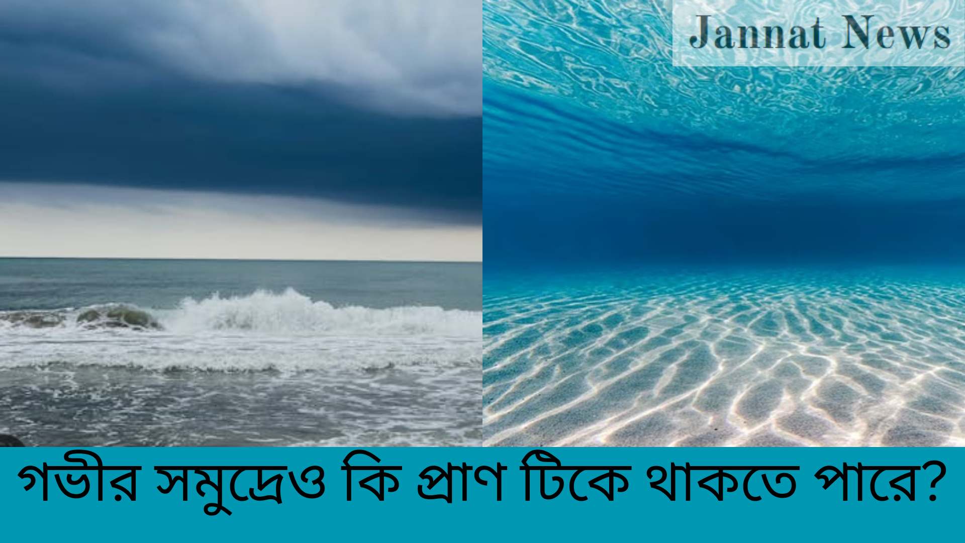 গভীর সমুদ্রেও কি প্রাণ টিকে থাকতে পারে?