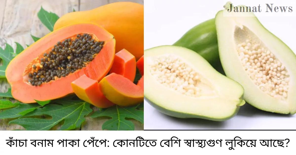কাঁচা বনাম পাকা পেঁপে: কোনটিতে বেশি স্বাস্থ্যগুণ লুকিয়ে আছে?