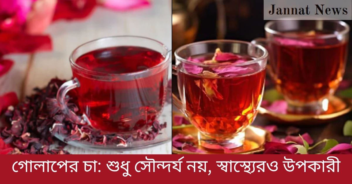 গোলাপের চা: শুধু সৌন্দর্য নয়, স্বাস্থ্যেরও উপকারী
