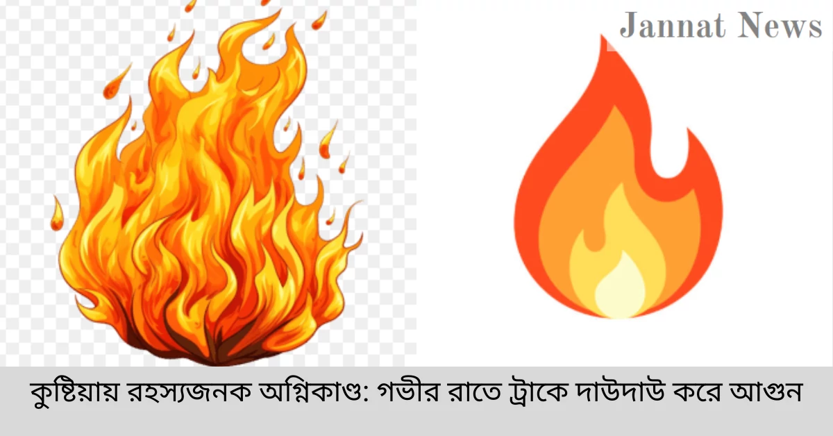 কুষ্টিয়ায় রহস্যজনক অগ্নিকাণ্ড: গভীর রাতে ট্রাকে দাউদাউ করে আগুন