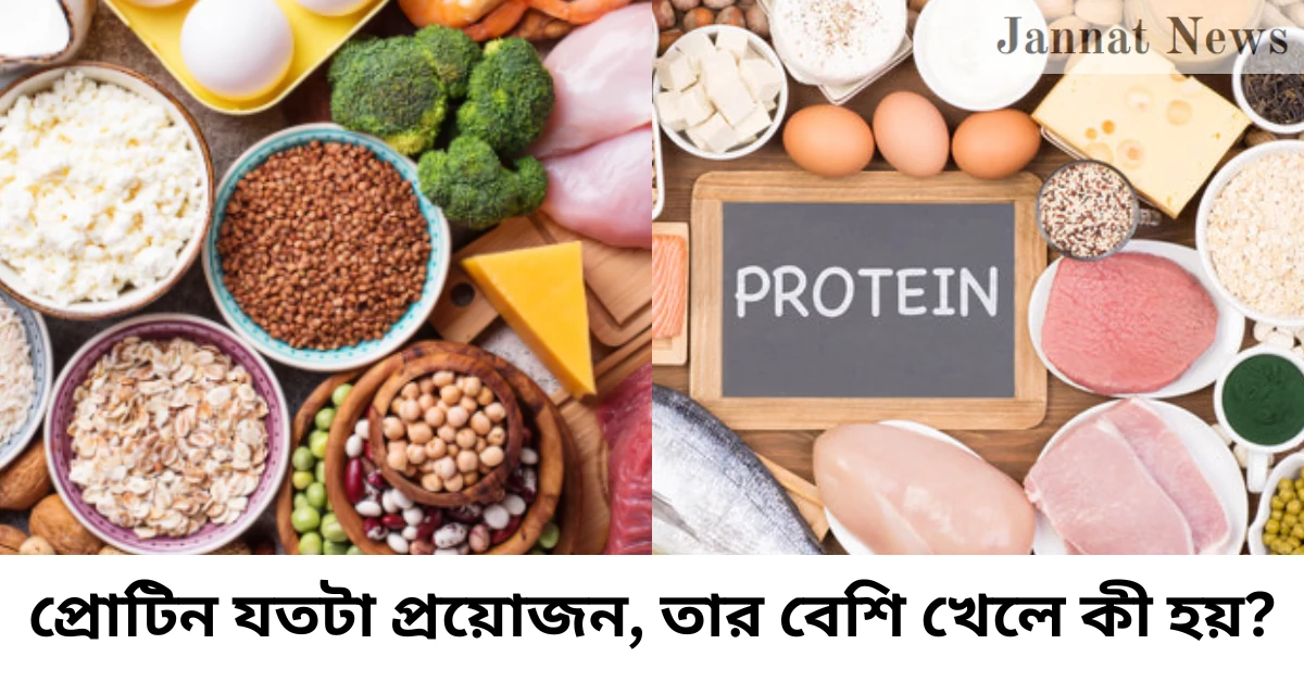 প্রোটিন যতটা প্রয়োজন, তার বেশি খেলে কী হয়?